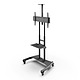 Mobile TV Mount with Adjustable Shelf