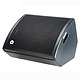 10" Two Way Full Range Loudspeaker