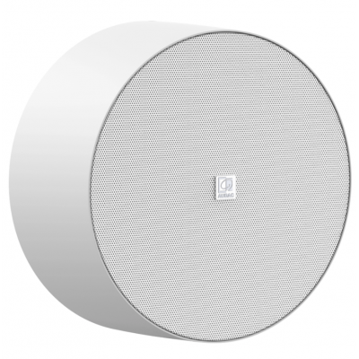 AUDAC 6.5" SURFACE-MOUNT SPEAKER 10W (8OHM) 6W (100V) WHITE